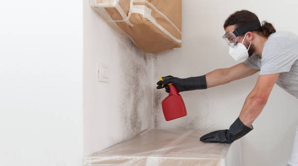 Professional Bathroom Mold Removal technician working in Stephens City, VA